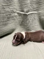 processed/e5ea98e2-44e5-45a1-a297-0bce53b369d0/listing/e99964a5-2255-4603-8a85-35136ac08743/6af9dd94-d84f-4275-a7ca-e27579d60bb1