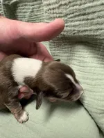 processed/e5ea98e2-44e5-45a1-a297-0bce53b369d0/listing/e99964a5-2255-4603-8a85-35136ac08743/e4d8c278-e200-418c-ad72-a11e0ba951e0