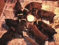 processed/e5ef07b4-0401-40e2-9257-49e162274a86/facility/0136c2d6-c92a-4981-8318-46f1ec16b822