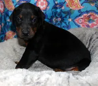 processed/e5ef07b4-0401-40e2-9257-49e162274a86/facility/14ac6153-c427-4e59-a22c-9d763f7b6890