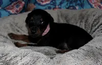 processed/e5ef07b4-0401-40e2-9257-49e162274a86/facility/735ff5ac-a6e8-4206-9ed4-5454cb1105de