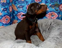 processed/e5ef07b4-0401-40e2-9257-49e162274a86/facility/ab1a297b-10ca-42d6-9bbb-231c28514cb8