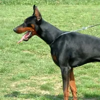 processed/e5ef07b4-0401-40e2-9257-49e162274a86/facility/fbaa5676-a3fe-4d60-b8a1-b15e0b5e73ba