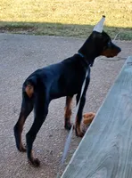 processed/e5ef07b4-0401-40e2-9257-49e162274a86/listing/df5d1dee-bd69-46ab-a2e9-be4092965042/04baa15f-e4dd-4992-949a-3e067a454270