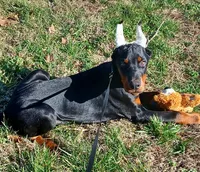 processed/e5ef07b4-0401-40e2-9257-49e162274a86/listing/df5d1dee-bd69-46ab-a2e9-be4092965042/102195a4-2301-49a0-8ee1-cd045775ec86