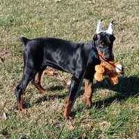 processed/e5ef07b4-0401-40e2-9257-49e162274a86/listing/df5d1dee-bd69-46ab-a2e9-be4092965042/585834fc-4b29-447a-9293-ac9a9e70951d