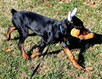 processed/e5ef07b4-0401-40e2-9257-49e162274a86/listing/df5d1dee-bd69-46ab-a2e9-be4092965042/663fdfcb-b3eb-434b-86c4-b616cc63a83e