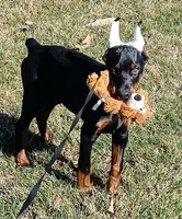 processed/e5ef07b4-0401-40e2-9257-49e162274a86/listing/df5d1dee-bd69-46ab-a2e9-be4092965042/bf20ca16-ebdc-48aa-acb5-03e2e1e67285