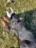 processed/e5ef07b4-0401-40e2-9257-49e162274a86/listing/df5d1dee-bd69-46ab-a2e9-be4092965042/c3714549-eab1-4b8f-96a0-91c20431cb62