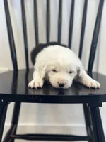 processed/e5f292b6-e918-4c77-80d7-c0ca7f230601/listing/58cf8bde-c803-4446-8e30-55a14de4afff/18f4401a-e9fb-4505-a2cf-b9a6a1866405