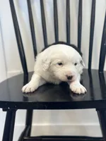 processed/e5f292b6-e918-4c77-80d7-c0ca7f230601/listing/58cf8bde-c803-4446-8e30-55a14de4afff/5b45081f-7779-4b5e-8ec8-0e94c0c4cfe5