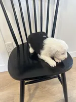 processed/e5f292b6-e918-4c77-80d7-c0ca7f230601/listing/62b7fdd7-a124-4686-bf5b-7956379ea80d/0a29fb04-d428-4a69-a59a-53d5f770d689