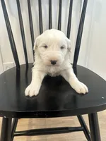 processed/e5f292b6-e918-4c77-80d7-c0ca7f230601/listing/62b7fdd7-a124-4686-bf5b-7956379ea80d/4538d23d-bd77-4406-bcc0-e7aaa732b588