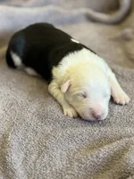 processed/e5f292b6-e918-4c77-80d7-c0ca7f230601/listing/62b7fdd7-a124-4686-bf5b-7956379ea80d/54df3bfc-dd93-4659-8dcb-7ca5f786bf65