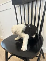 processed/e5f292b6-e918-4c77-80d7-c0ca7f230601/listing/62b7fdd7-a124-4686-bf5b-7956379ea80d/ec9334d0-7979-4a9f-8c99-292d4f1edb3f