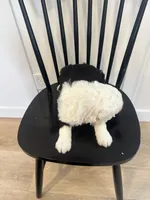 processed/e5f292b6-e918-4c77-80d7-c0ca7f230601/listing/8c96ff62-412b-41d5-b90c-f6fc314a28e1/9817254e-b90e-42e8-8798-42c374a2cf72