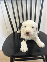 processed/e5f292b6-e918-4c77-80d7-c0ca7f230601/listing/8c96ff62-412b-41d5-b90c-f6fc314a28e1/e3f721d3-03c7-44a3-a299-75b17d3b1794