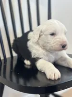 processed/e5f292b6-e918-4c77-80d7-c0ca7f230601/listing/be9f4a3c-d532-40c2-bc8b-aa6a8e26b644/0af4b25f-233b-4eb9-a4de-1c69ed90e876