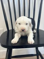 processed/e5f292b6-e918-4c77-80d7-c0ca7f230601/listing/be9f4a3c-d532-40c2-bc8b-aa6a8e26b644/1b788486-cf07-48ee-bfaf-be51eabef278