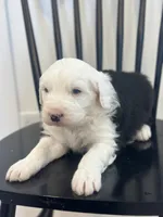 processed/e5f292b6-e918-4c77-80d7-c0ca7f230601/listing/be9f4a3c-d532-40c2-bc8b-aa6a8e26b644/27a6d2c6-3fea-46eb-be1d-c4da5058be63