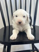 processed/e5f292b6-e918-4c77-80d7-c0ca7f230601/listing/be9f4a3c-d532-40c2-bc8b-aa6a8e26b644/5cb088af-beeb-44e7-9cb2-c997c93ed9da