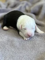 processed/e5f292b6-e918-4c77-80d7-c0ca7f230601/listing/be9f4a3c-d532-40c2-bc8b-aa6a8e26b644/ff74f365-7acf-43ce-8f44-c989cbc42d52