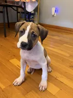 processed/e60fda24-7c33-4f90-9a04-41195aa22fdf/listing/0a53c33c-bff1-4ebc-b04e-667bd1ad7246/00526d11-e4e2-4cef-868b-5b60180f5781