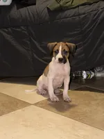 processed/e60fda24-7c33-4f90-9a04-41195aa22fdf/listing/0a53c33c-bff1-4ebc-b04e-667bd1ad7246/2e4718be-f518-4b5e-a980-b3c406f184ed