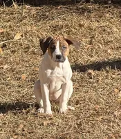 processed/e60fda24-7c33-4f90-9a04-41195aa22fdf/listing/0a53c33c-bff1-4ebc-b04e-667bd1ad7246/438a4050-f71c-461d-94db-8d06e348af22