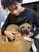 processed/e60fda24-7c33-4f90-9a04-41195aa22fdf/listing/ec1b2df5-4548-4cc5-b98c-412c6fbac888/15da9538-89d1-486f-bb29-0958211c54fd