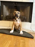 processed/e60fda24-7c33-4f90-9a04-41195aa22fdf/listing/ec1b2df5-4548-4cc5-b98c-412c6fbac888/41c208b3-702a-4398-8a6c-d65d7a72418b