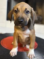 processed/e60fda24-7c33-4f90-9a04-41195aa22fdf/listing/ec1b2df5-4548-4cc5-b98c-412c6fbac888/5f2570f0-0079-459b-9759-536d943f5df6