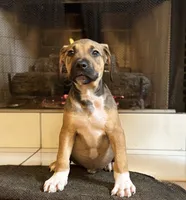 processed/e60fda24-7c33-4f90-9a04-41195aa22fdf/listing/ec1b2df5-4548-4cc5-b98c-412c6fbac888/82aa715f-dcd9-4e34-b7a1-49fe5c746518