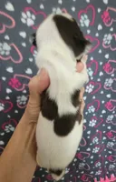 processed/e611bf82-94b3-4d3c-8ed1-c4d7a0be8662/listing/3d8c2274-593b-44a7-b84b-dd5a28ddc198/1506900a-8c6e-4575-bee1-1111e3e704ba