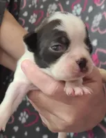 processed/e611bf82-94b3-4d3c-8ed1-c4d7a0be8662/listing/3d8c2274-593b-44a7-b84b-dd5a28ddc198/20bf40a8-12d5-42b2-b1db-a8fb1acc1dfb