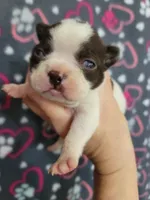 processed/e611bf82-94b3-4d3c-8ed1-c4d7a0be8662/listing/3d8c2274-593b-44a7-b84b-dd5a28ddc198/4a10dc02-5843-4c7e-953d-73bc9525884c