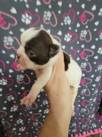 processed/e611bf82-94b3-4d3c-8ed1-c4d7a0be8662/listing/3d8c2274-593b-44a7-b84b-dd5a28ddc198/986e3242-8474-4cf9-977b-d7f3e4d719c1