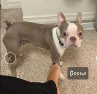 processed/e611bf82-94b3-4d3c-8ed1-c4d7a0be8662/listing/5926770c-b2bc-4ad1-bd9d-aff1b618b437/e2273610-d292-4c59-84c4-7a7c7e1c3555