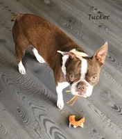 processed/e611bf82-94b3-4d3c-8ed1-c4d7a0be8662/listing/ec677ae0-d631-4989-9a20-ab5767262fd1/260423fe-0463-46ce-9faa-747b9250e74a