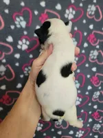 processed/e611bf82-94b3-4d3c-8ed1-c4d7a0be8662/listing/ec677ae0-d631-4989-9a20-ab5767262fd1/cefe8cae-09f3-4289-ba1d-1575a8ac60ca