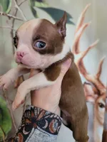 processed/e611bf82-94b3-4d3c-8ed1-c4d7a0be8662/listing/fe4b9158-7b1c-4a46-b2d2-98d3639045ff/2e412256-e45d-4417-9599-ddabed45d9b2