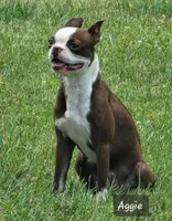 processed/e611bf82-94b3-4d3c-8ed1-c4d7a0be8662/listing/fe4b9158-7b1c-4a46-b2d2-98d3639045ff/7d455072-d036-4eaa-9298-49f29e684924