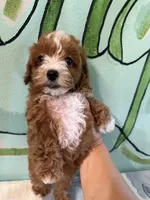 processed/e613e2bd-6181-4680-ad1e-64c480a06dde/facility/23b3cb01-489a-4821-9052-ce0ae175cce9