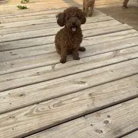 processed/e613e2bd-6181-4680-ad1e-64c480a06dde/facility/4d232105-9d21-478f-ae63-29f8be5f6925