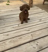 processed/e613e2bd-6181-4680-ad1e-64c480a06dde/facility/4d232105-9d21-478f-ae63-29f8be5f6925