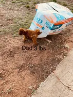 processed/e613e2bd-6181-4680-ad1e-64c480a06dde/facility/59d7d3ff-23ac-444e-bf68-1aea282ef753