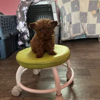 processed/e613e2bd-6181-4680-ad1e-64c480a06dde/facility/7b69c417-1057-4961-a1bc-5bfa35beacb6