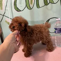 processed/e613e2bd-6181-4680-ad1e-64c480a06dde/facility/9ff56c47-658a-450c-b130-5df1a11bd7a2