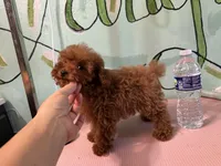 processed/e613e2bd-6181-4680-ad1e-64c480a06dde/facility/9ff56c47-658a-450c-b130-5df1a11bd7a2