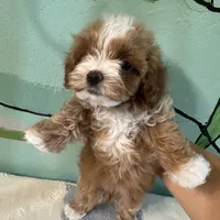 processed/e613e2bd-6181-4680-ad1e-64c480a06dde/facility/c343bf09-75f3-4f45-9190-4dcb7ac46920